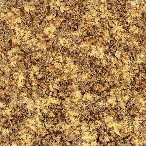 mansion882.0厚微晶石：浅金啡KFB88012单片