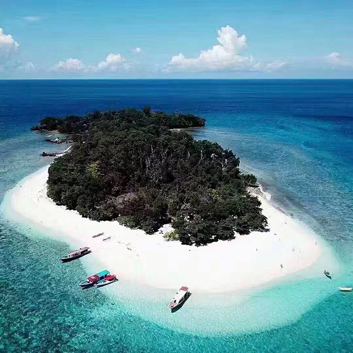 mansion88·明升(中国游)官方网站