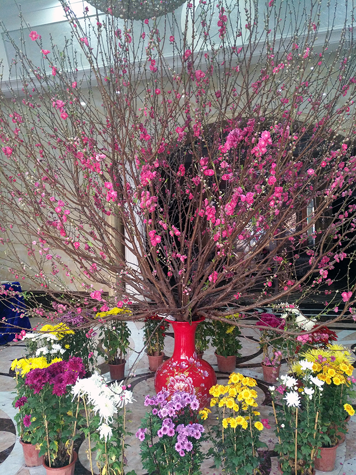 mansion88·明升(中国游)官方网站