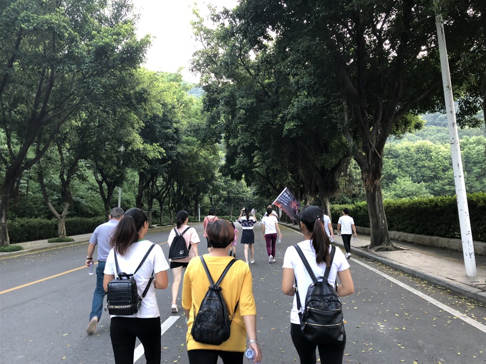 mansion88·明升(中国游)官方网站