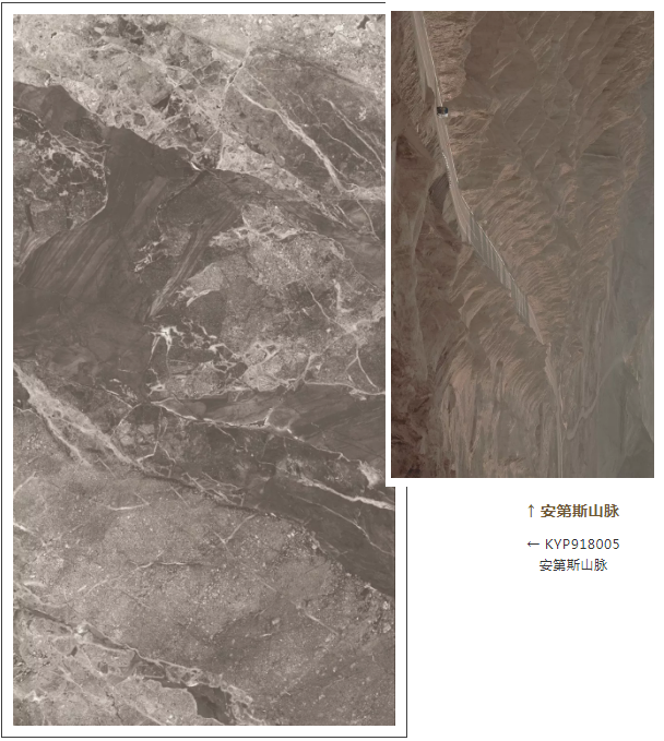 mansion88·明升(中国游)官方网站
