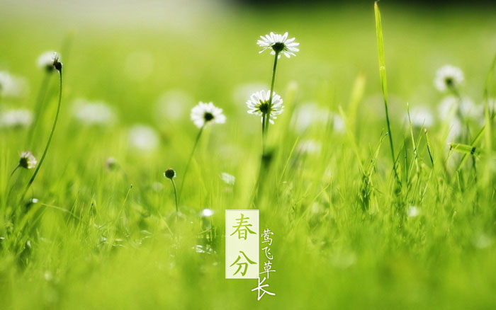 _搜索资讯_护眼防滑砖